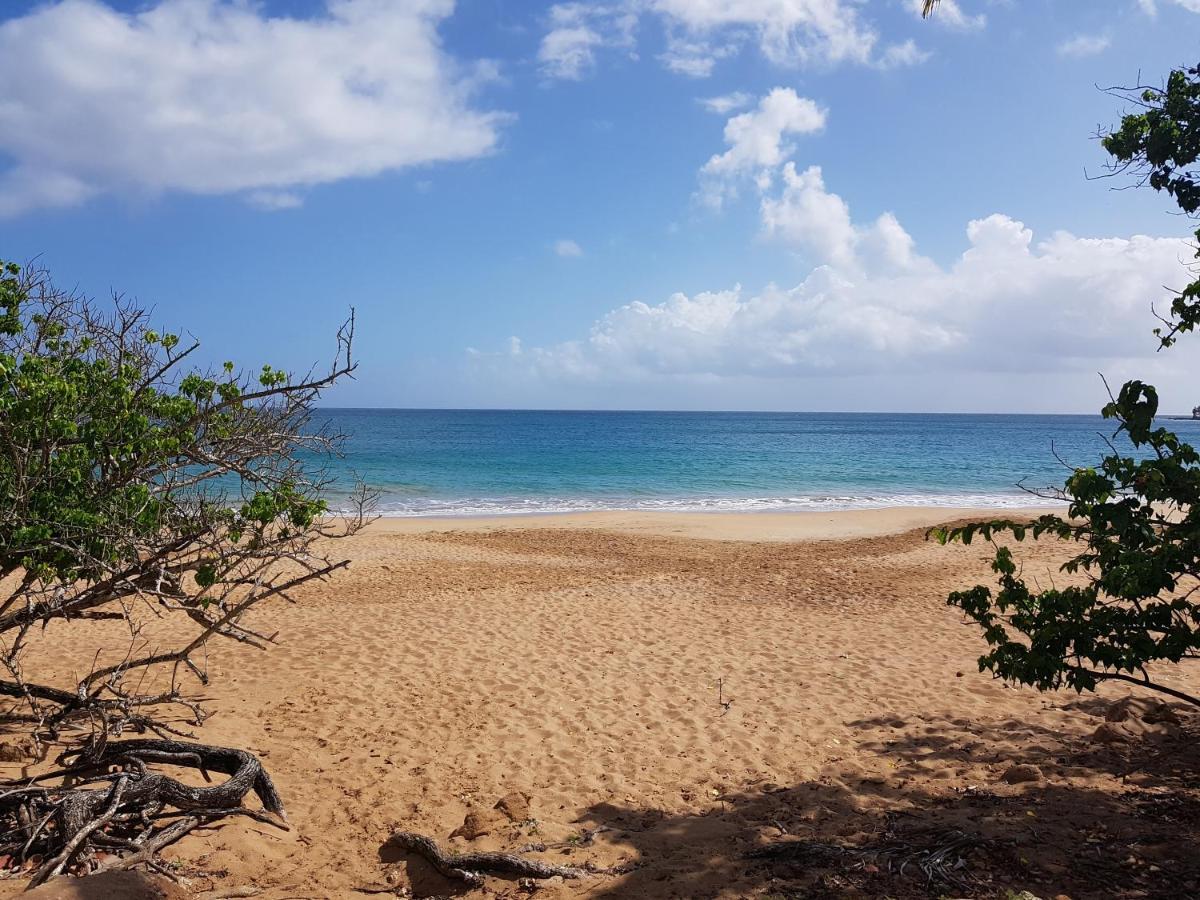 L'Aurielle, Tout Le Confort A 500M De La Plage Sainte-Rose Luaran gambar